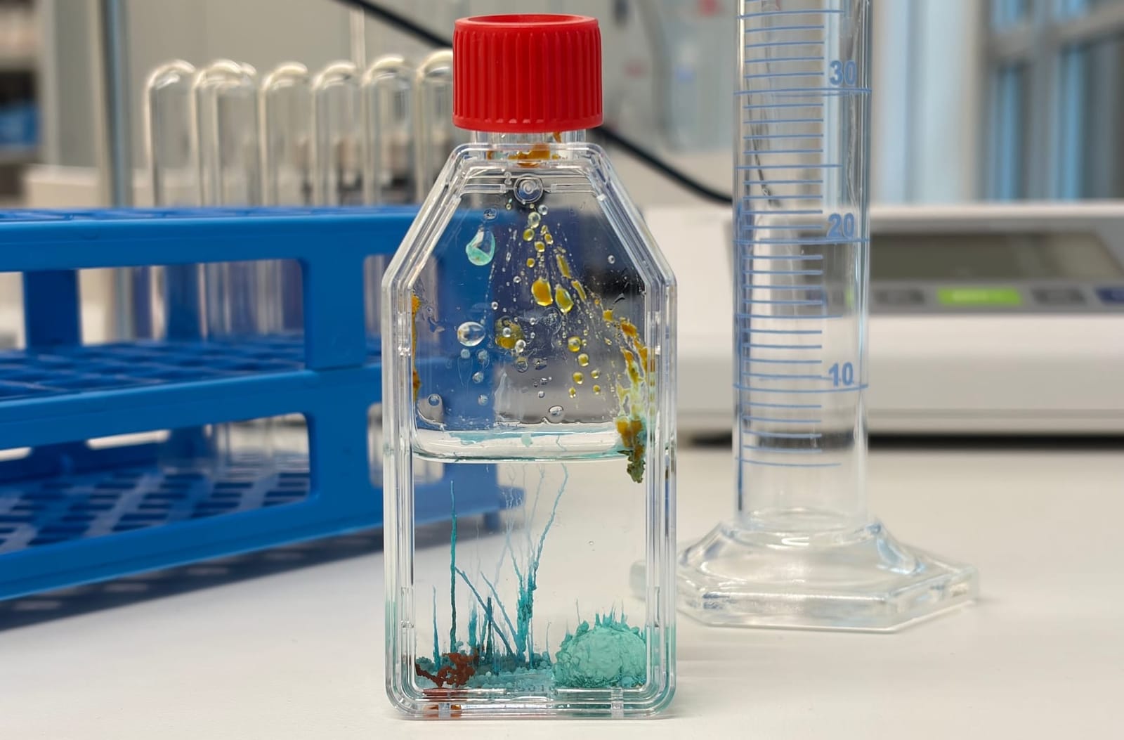 Grundlagen der Chemie